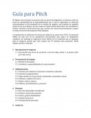 Guía para Pitch.