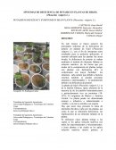 Deficiencia de potasio en frijol.