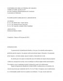 División Académica Multidisciplinaria de Comalcalco..
