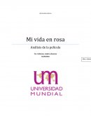 Análisis de la película: "Mi Vida en Rosa"