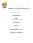 UNIVERSIDAD NACIONAL AUTÓNOMA DE HONDURAS DEL VALLE DE SULA.