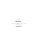Constitución en la regulación accionar del Estado.