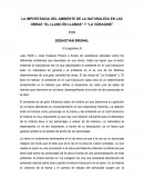 LA IMPORTANCIA DEL AMBIENTE DE LA NATURALEZA EN LAS OBRAS “EL LLANO EN LLAMAS” Y “LA VORAGINE”