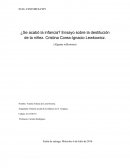 Ensayo sobre la destitución de la niñez.