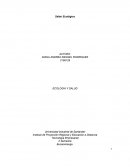 Instituto de Proyección Regional y Educación a Distancia.