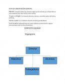 Guia de observacion general.