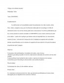 Peligro en las redes sociales. Ensayo