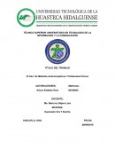 TÉCNICO SUPERIOR UNIVERSITARIO EN TECNOLOGÍA DE LA INFORMACIÓN Y LA COMUNICACIÓN
