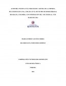 AUDITORÍA INTERNA EN EL PROCESO DE CARTERA DE LA EMPRESA MULTISERVICIOS LTDA., UBICADA EN EL MUNICIPIO DE DOSQUEBRADAS, RISARALDA, COLOMBIA, CON INFORMACIÓN DEL 1 DE ENERO AL 31 DE MARZO DE 2016..