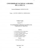 Ecoeficiencia y Eco eficacia en las Organizaciones de Tingo María.