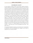 Segurida de almacen y bodegad.