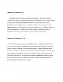 Elasticidad- ANALISIS DE LA PREGUNTA NO 3.