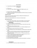 Aparato digestivo - Resumen.