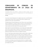 CONVULSION DE CONEJOS EN DEPARTAMENTO EN LA CALLE DE DESUIPACHA.