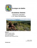 Ecosistema: desierto.