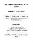 SOCIALIZACION, RESOCIALIZACION, PAPELES Y AUTOIMAGEN, READAPTACION Y REINSERCION SOCIAL