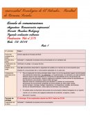 Archivo adjunto en formato de Word.