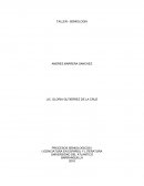 ANDRES BARRERA SANCHEZ.