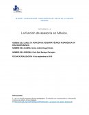 La función de asesoría en México.