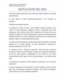 REPLICACION DEL DNA...