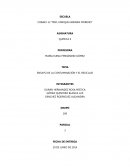 ENSAYO DE LA CONTAMINACIÓN Y EL RECICLAJE.