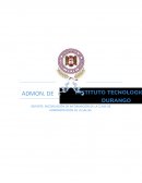 Diseño organizacional..