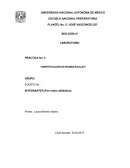 Practica sobre las biomoleculas.