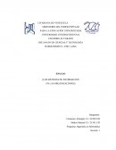 ENSAYO (LOS SISTEMAS DE INFORMACIÓN EN LAS ORGANIZACIONES)