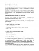 DESCRIPCIÓN DE LA INNOVACIÓN