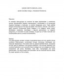 Unidad dento gingival completo