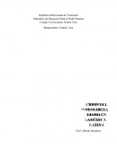 En América Latina en los últimos años ha venido sucediendo los procesos nacionalistas, populares democráticos, que hasta cierto grado, han roto con los esquemas más ortodoxos de pensamiento y arquitectura económica-social y política