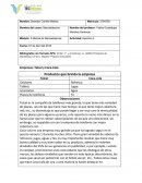 Actividad Mezcla de Mercadotecnia.