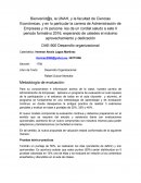 Intrucciones Desarrollo Organizacional