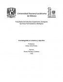Cromatografía en columna y capa fina