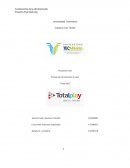 La empresa total play es una empresa dedicada al área de telecomunicaciones brindando un servicio de internet, telefonía y televisión por paga, Historia de la compañía Totalplay (Totalplay Telecomunicaciones S.A. de C.V.)