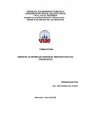 DISEÑO DE UN SISTEMA DE GESTIÓN DE SERVICIOS