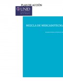 LAS CUATRO P’S DEL MARKETING