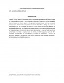 ENSAYO DOCUMENTO PEDAGOGIA DEL RIESGO