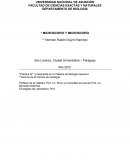 DEPARTAMENTO DE BIOLOGÍA * MICROSCOPIO Y MICROSCOPÍA