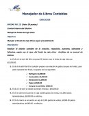 Manejador de Libros Contables Pactica