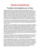 La Gran Alerta amzonica