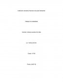 Institución educativa francisco de paula Santander Trabajo de contabilidad