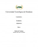 ANÁLISIS DE CASO LAVAMAX