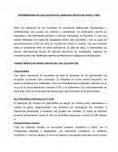 Transtornos de los leucocitos ganglios linfaticos timo y bazo