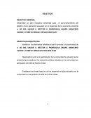 DESEMPEÑO AMBIENTAL..