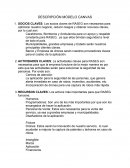 DESCRIPCIÓN MODELO CANVAS