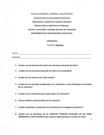 INSTRUMENTO DE INVESTIGACIÓN CUALITATIVA. Página 1