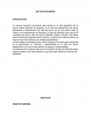 Sector Azucarero Colombiano.