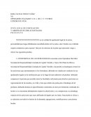 OFRECIMIENTO DE PRUEBAS PARTE ACTORA.