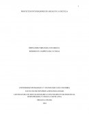 PROYECTOS INTEGRADORES DE AREAS EN LA ESCUELA.